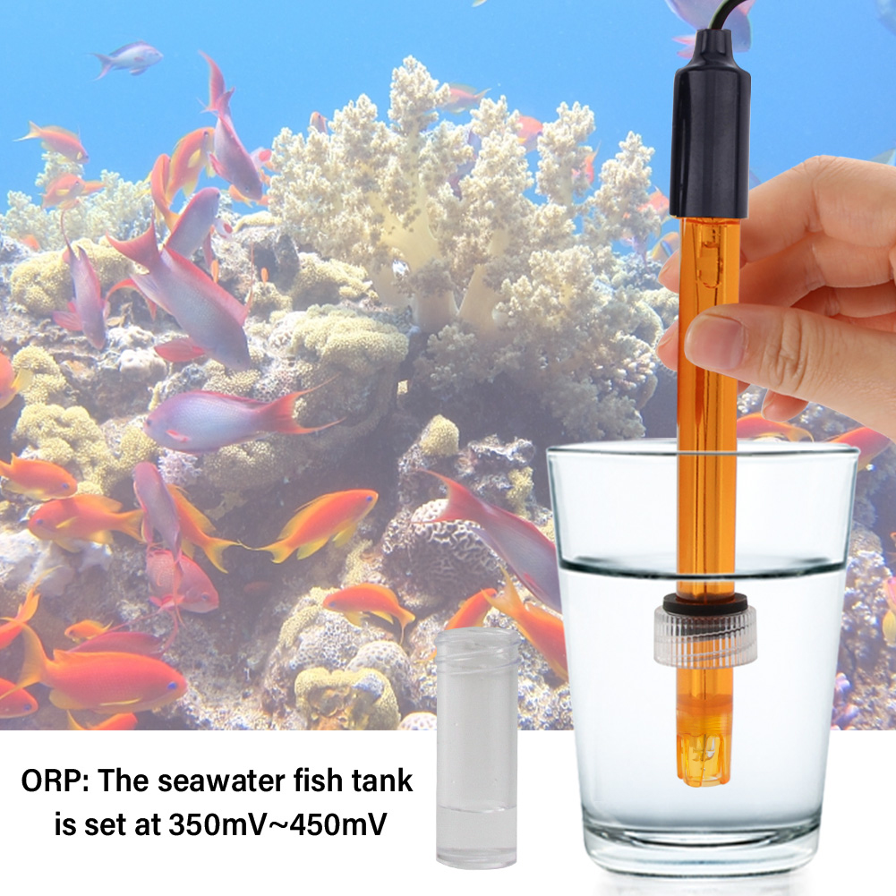 Yieryi PH ORP Replacement Prob - Ph Up Down Solution 리뷰 및 가격