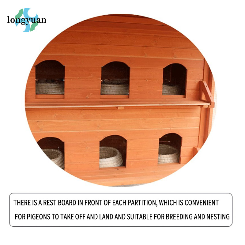 New Design Large Rainproof Woo - Urban Farming House 리뷰 및 가격